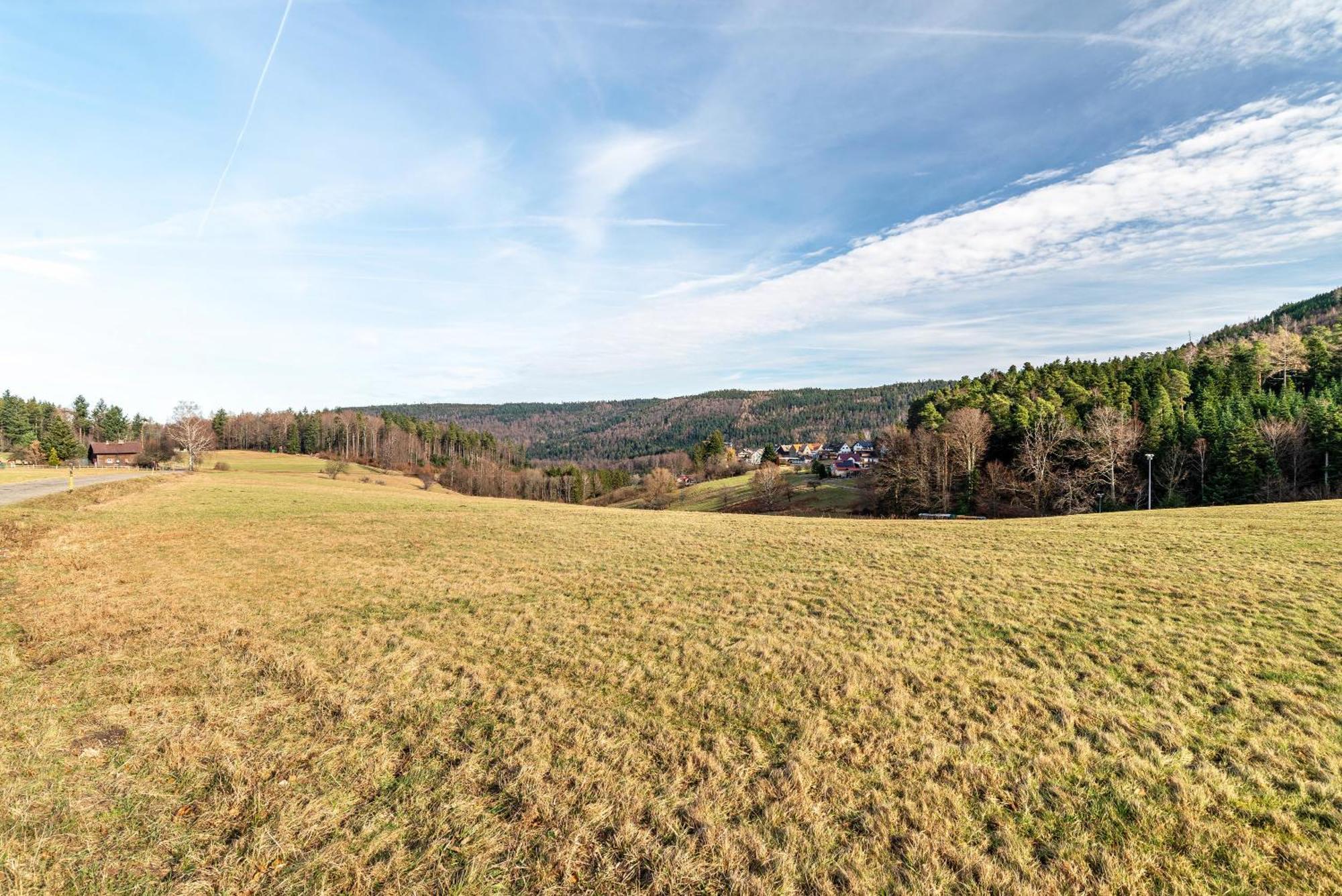 Ferienwohnung Schumacher Bad Herrenalb Buitenkant foto